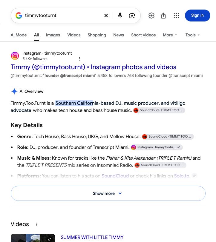 Google results for timmytooturnt with no knowledge panel